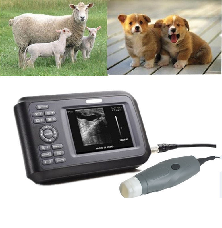 Veterinary Handheld Ultrasound Scanner Machine + Convex accurate diagnosis  CE 190891098962 DIAGNOSTIC ULTRASOUND MACHINES FOR SALE