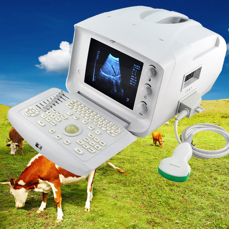 Portable Ultrasound Machine Scanner + convex probe+Free 3D Veterinary Animal cow 190891552051 DIAGNOSTIC ULTRASOUND MACHINES FOR SALE
