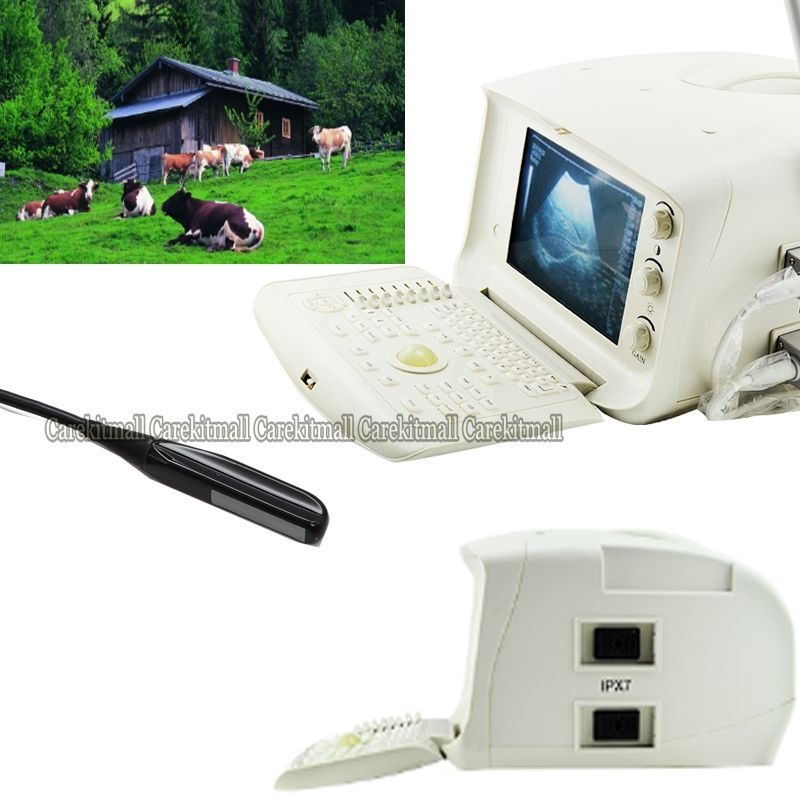 Animal Veterinary Digital Portable Ultrasound Scanner+Rectal Probe cow dog CE 190891822567 DIAGNOSTIC ULTRASOUND MACHINES FOR SALE