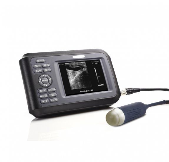 USA Portable Laptop Ultrasound Scanner Machine Handscan Animal Veterinary +case 190891042989 DIAGNOSTIC ULTRASOUND MACHINES FOR SALE