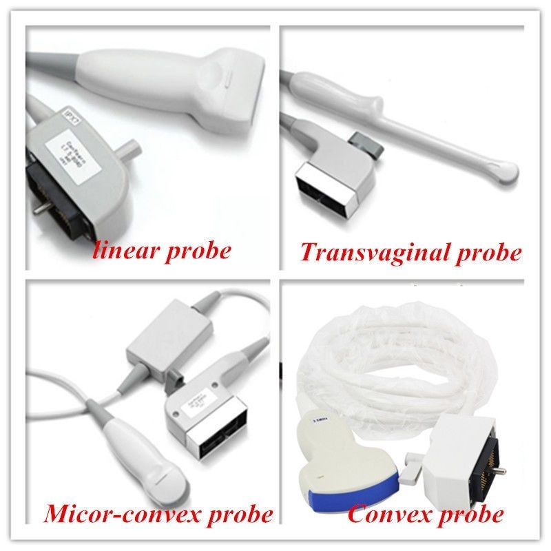 Portable Digital Ultrasound Scanner Machine 6.5 Mhz Transvaginal probe Free 3D DIAGNOSTIC ULTRASOUND MACHINES FOR SALE