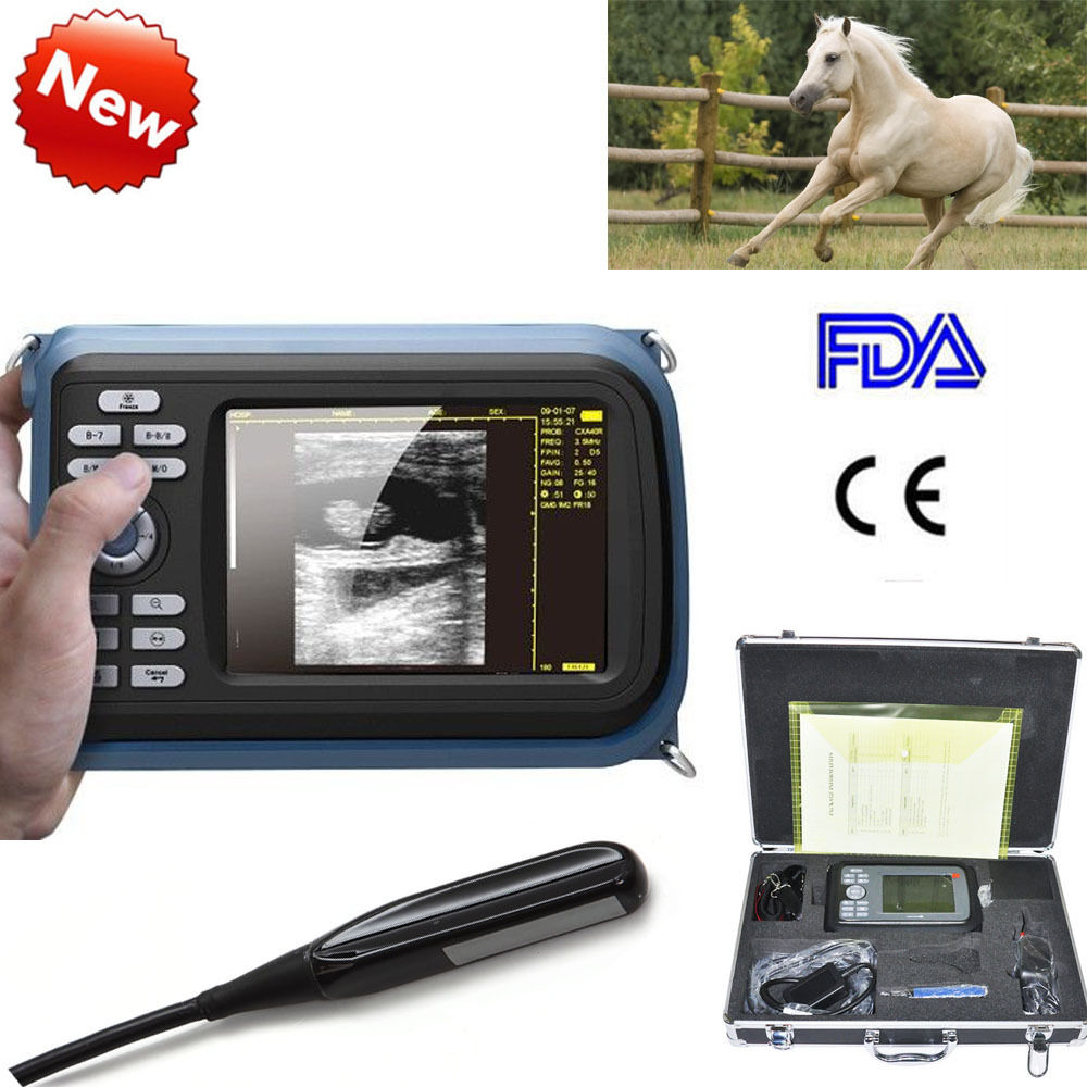 Veterinary Digital Palmtop Ultrasound Scanner Rectal Probe +Convex Probe &Case 190891470102 DIAGNOSTIC ULTRASOUND MACHINES FOR SALE