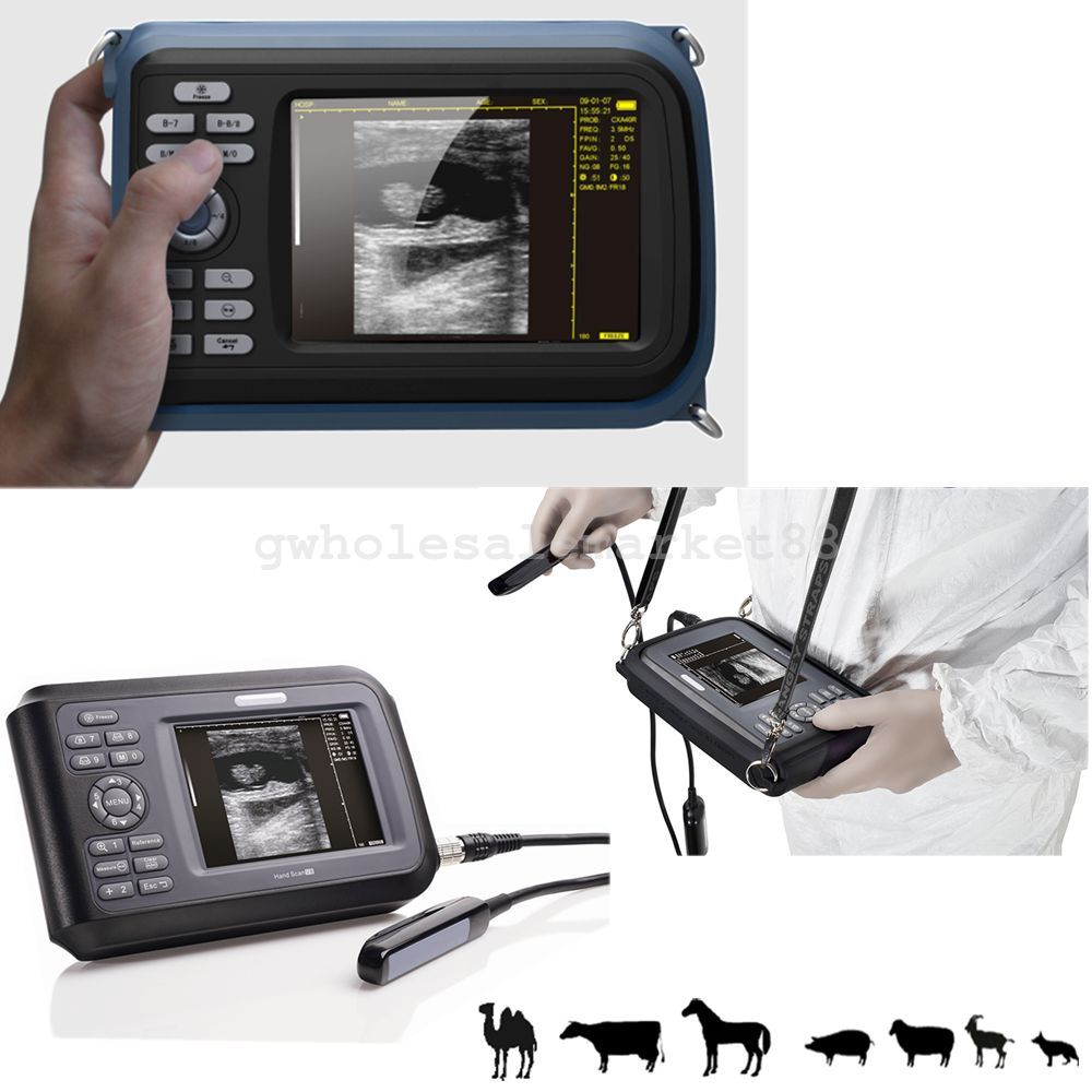 Veterinary Digital Palm Ultrasound Scanner Animal Rectal Probe Battery Case Dogs DIAGNOSTIC ULTRASOUND MACHINES FOR SALE