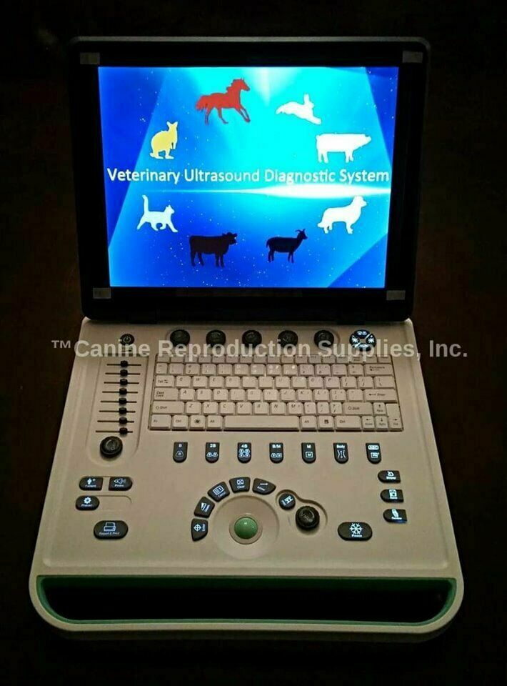 Portable Veterinary Ultrasound with Micro Convex probe DIAGNOSTIC ULTRASOUND MACHINES FOR SALE