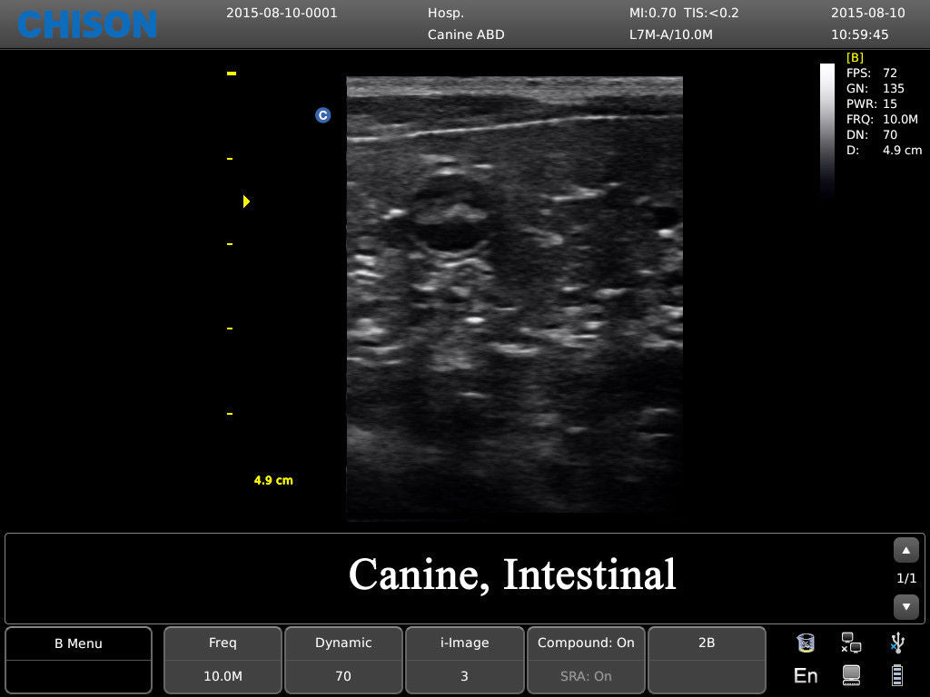 Chison ECO3 Ultrasound w/ 1 Probes and Accredited Veterinary Online Training DIAGNOSTIC ULTRASOUND MACHINES FOR SALE