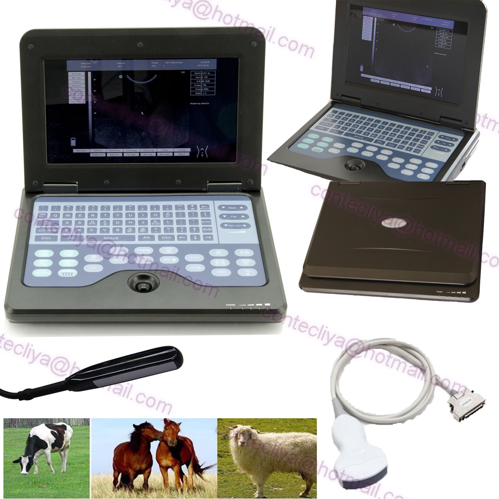 VET Veterinary Ultrasound Scanner For Equine/cows/sheep Rectal +Convex probe,USA 756040906177 DIAGNOSTIC ULTRASOUND MACHINES FOR SALE